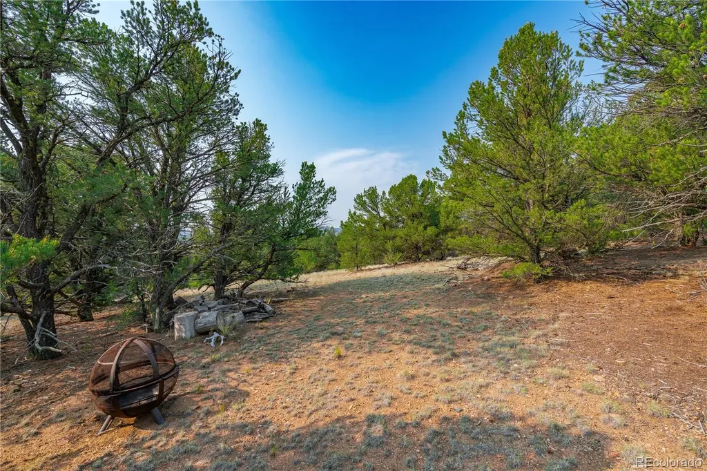 Lot 65 Elkhorn Road Cotopaxi CO 81223
