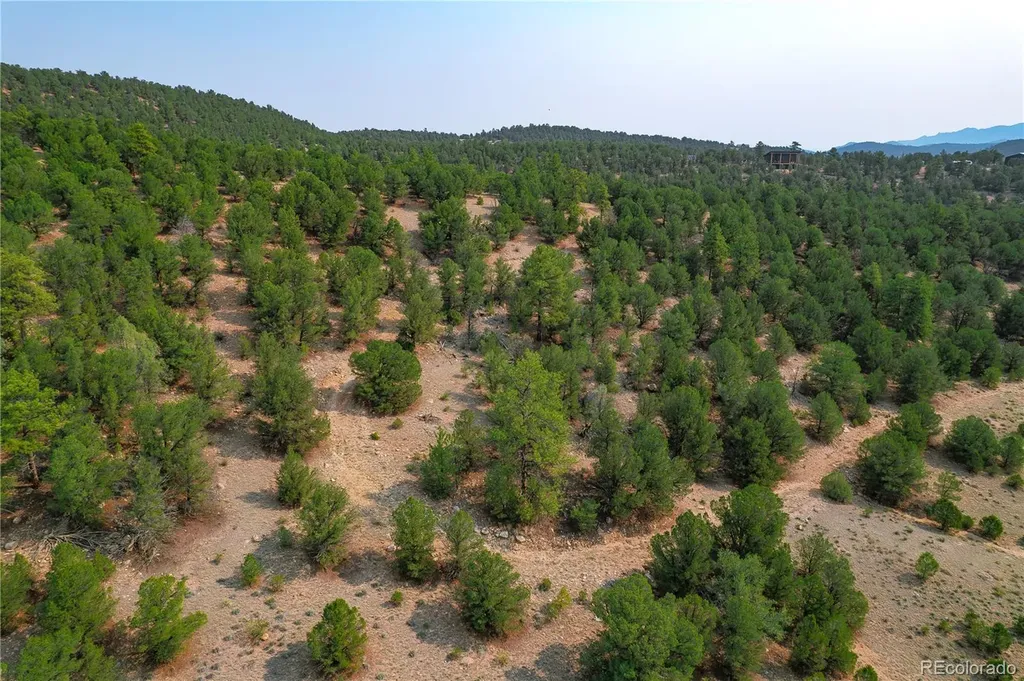 Lot 65 Elkhorn Road Cotopaxi CO 81223