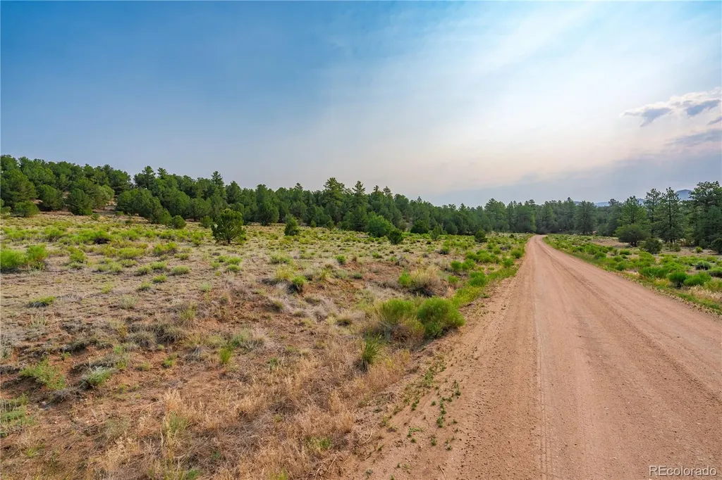 Lot 65 Elkhorn Road Cotopaxi CO 81223