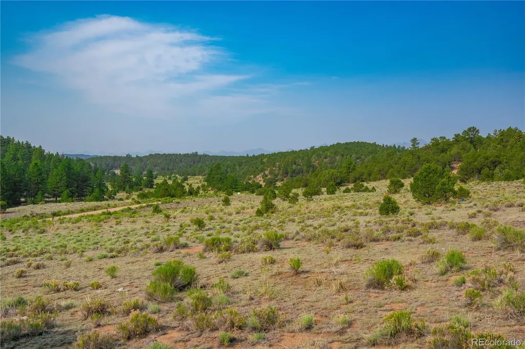 Lot 65 Elkhorn Road Cotopaxi CO 81223