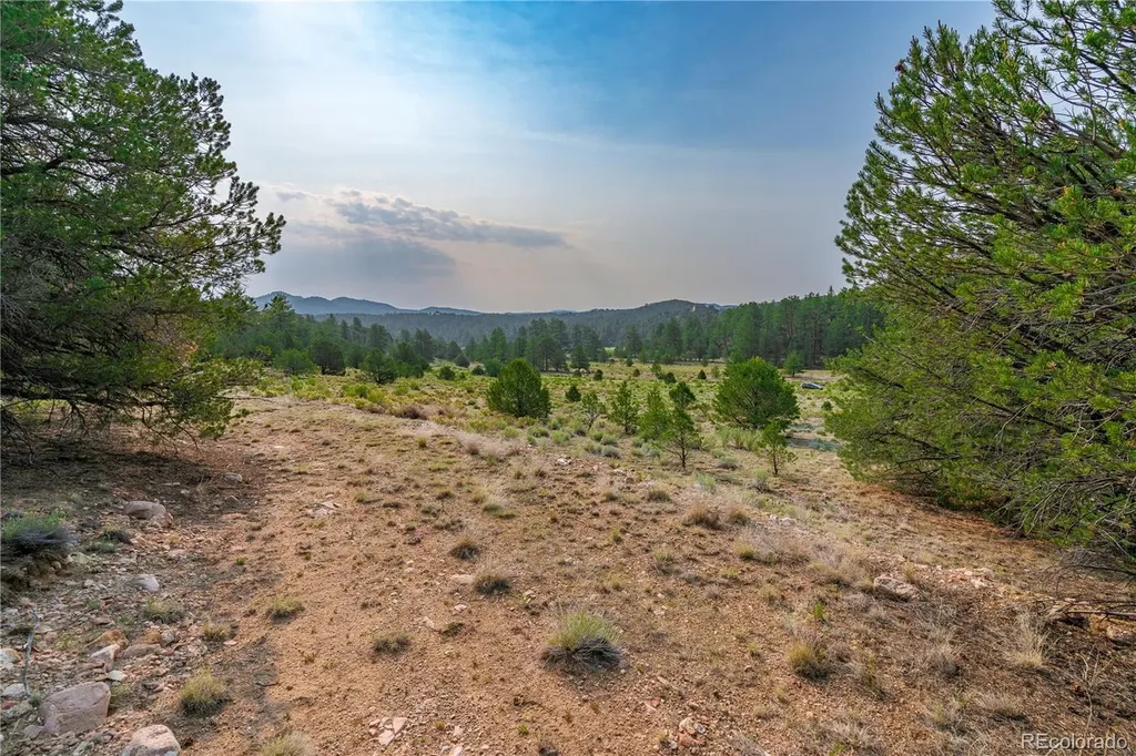 Lot 65 Elkhorn Road Cotopaxi CO 81223