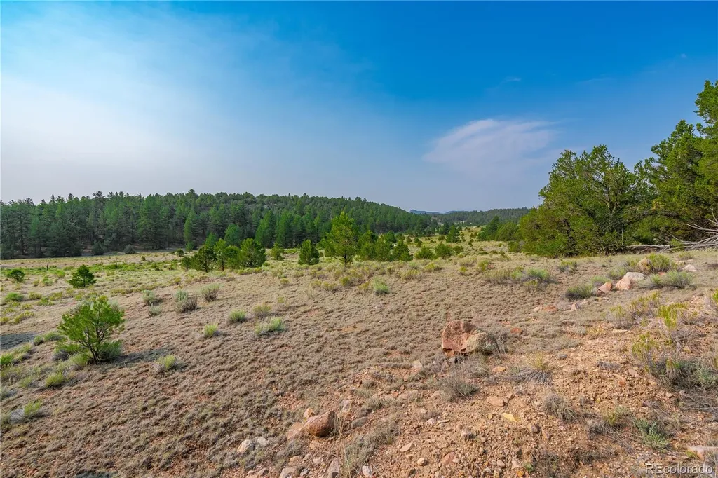 Lot 65 Elkhorn Road Cotopaxi CO 81223