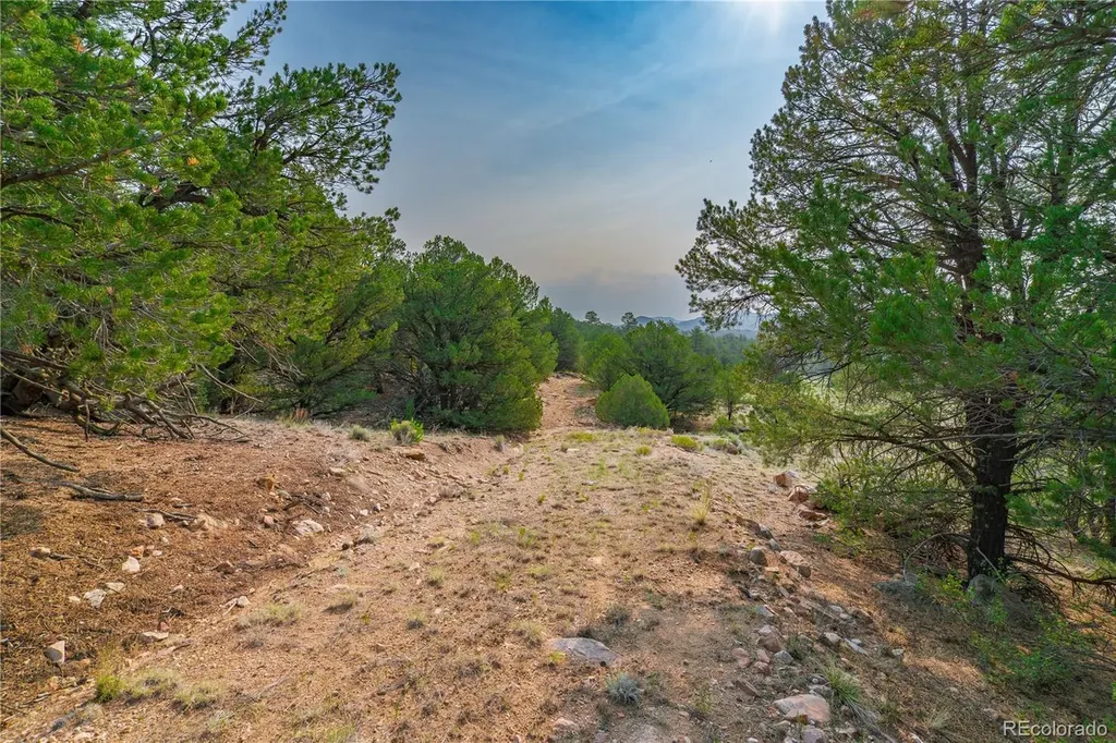 Lot 65 Elkhorn Road Cotopaxi CO 81223