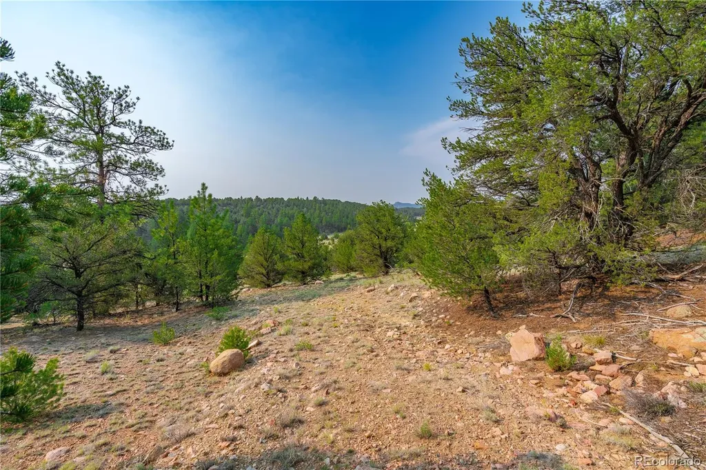 Lot 65 Elkhorn Road Cotopaxi CO 81223