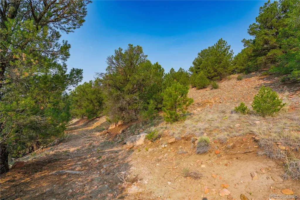Lot 65 Elkhorn Road Cotopaxi CO 81223