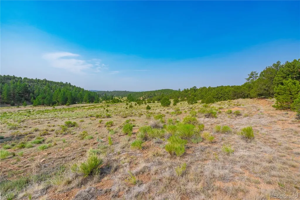 Lot 65 Elkhorn Road Cotopaxi CO 81223