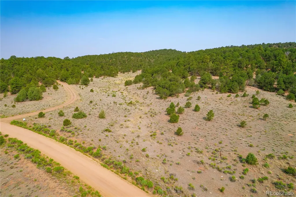 Lot 65 Elkhorn Road Cotopaxi CO 81223