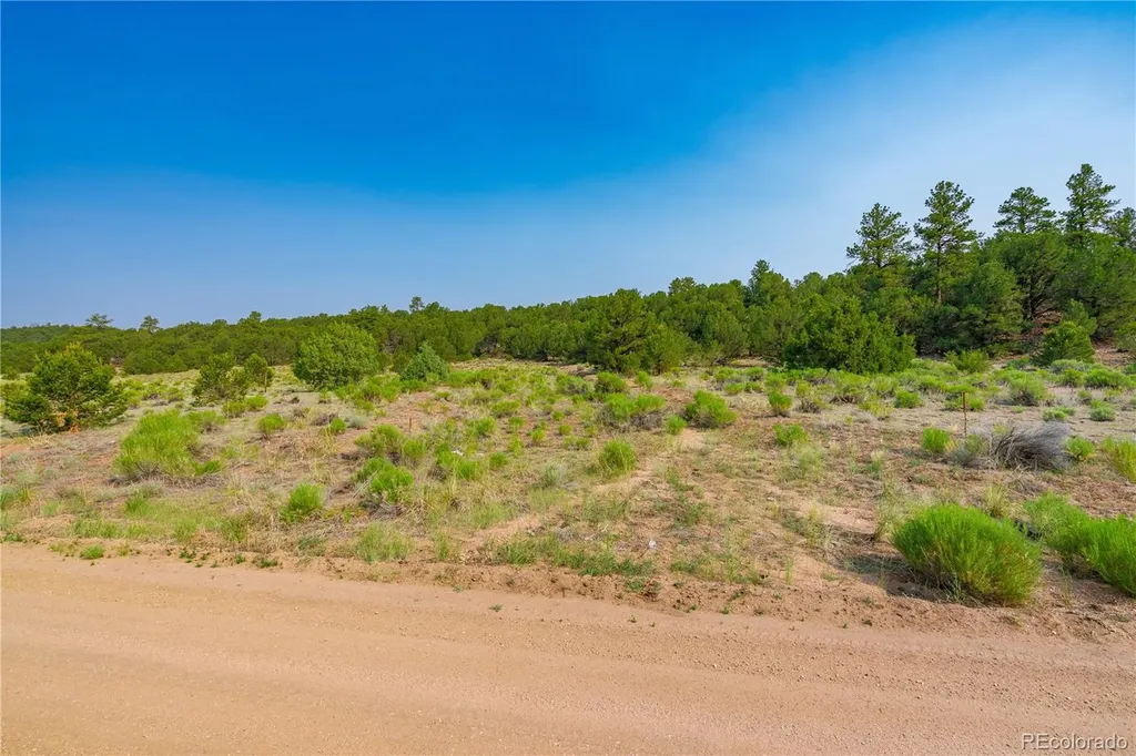 Lot 65 Elkhorn Road Cotopaxi CO 81223