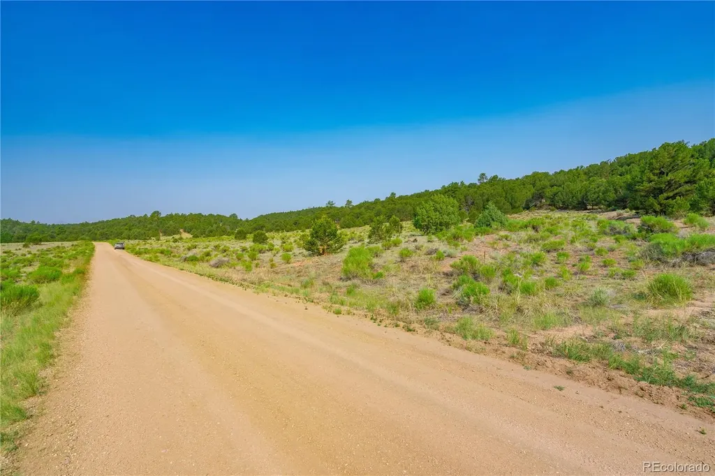 Lot 65 Elkhorn Road Cotopaxi CO 81223