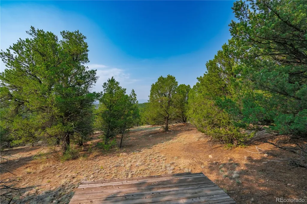 Lot 65 Elkhorn Road Cotopaxi CO 81223