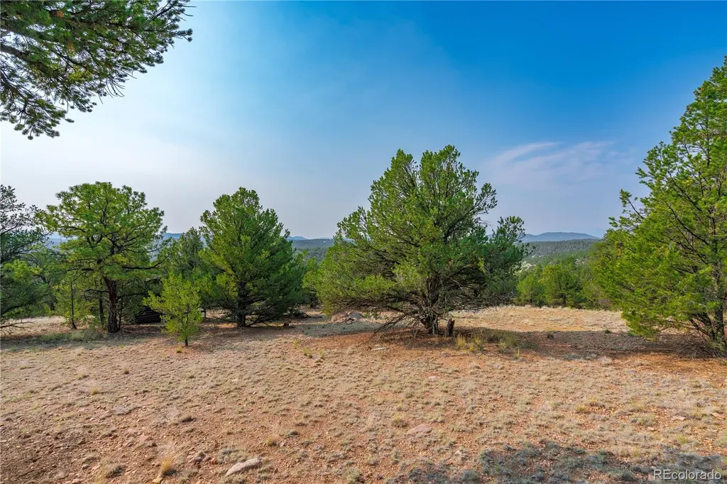Lot 65 Elkhorn Road Cotopaxi CO 81223