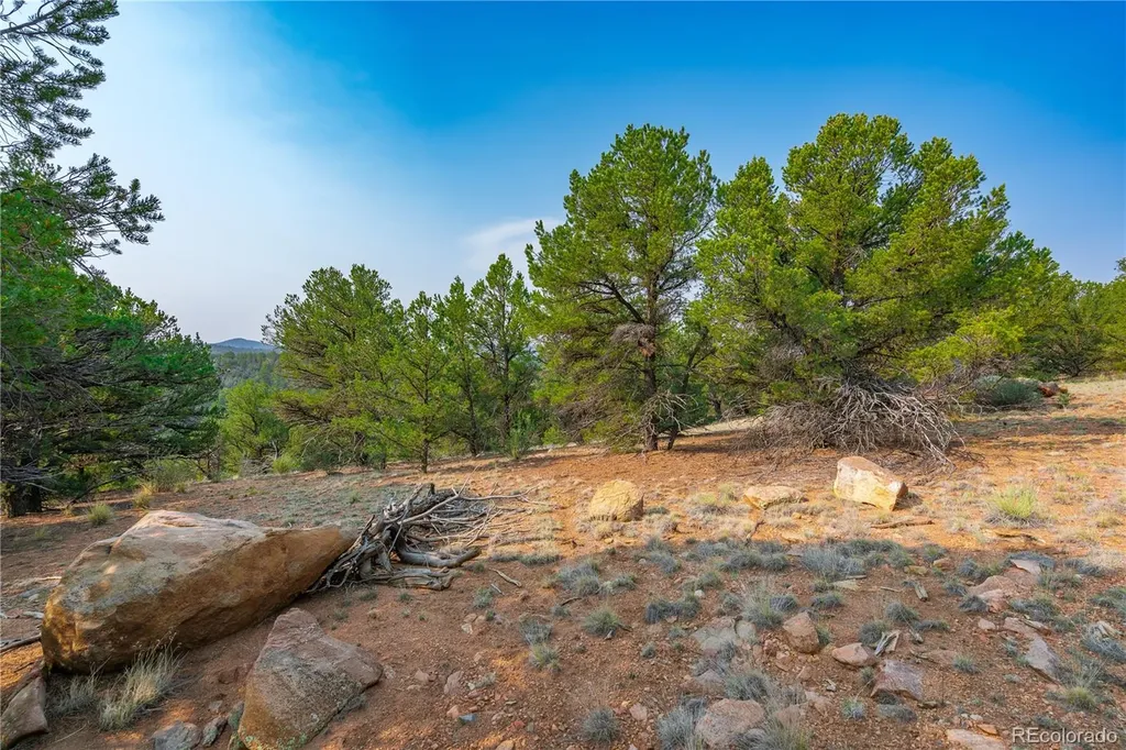 Lot 65 Elkhorn Road Cotopaxi CO 81223