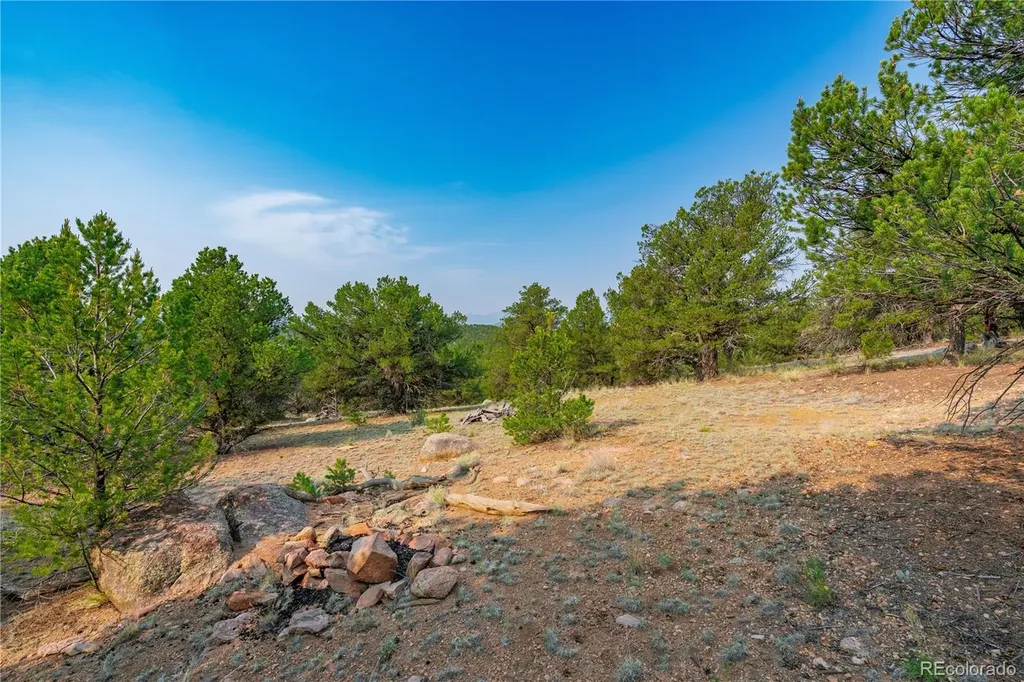 Lot 65 Elkhorn Road Cotopaxi CO 81223