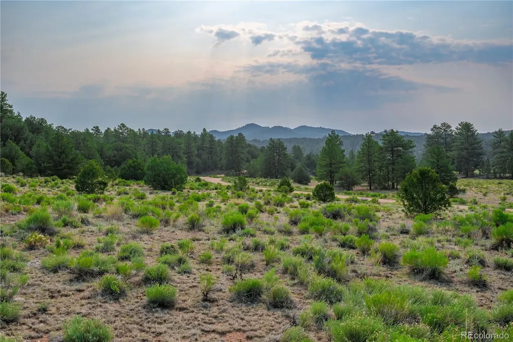 Lot 65 Elkhorn Road Cotopaxi CO 81223