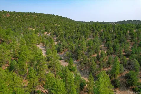 Lot 65 Elkhorn Road Cotopaxi CO 81223