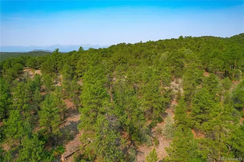 Lot 65 Elkhorn Road Cotopaxi CO 81223
