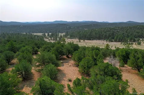 Lot 65 Elkhorn Road Cotopaxi CO 81223