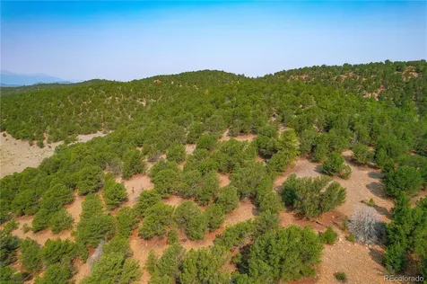 Lot 65 Elkhorn Road Cotopaxi CO 81223