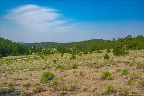 Lot 65 Elkhorn Road Cotopaxi CO 81223