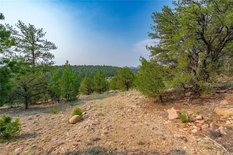Lot 65 Elkhorn Road Cotopaxi CO 81223