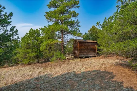 Lot 65 Elkhorn Road Cotopaxi CO 81223