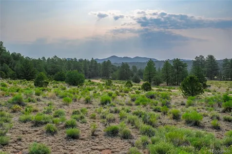Lot 65 Elkhorn Road Cotopaxi CO 81223