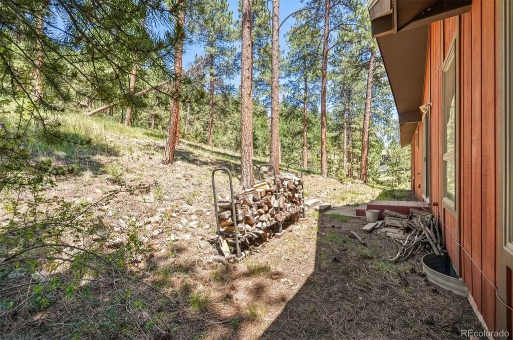 33057 Little Cub Road Evergreen CO 80439