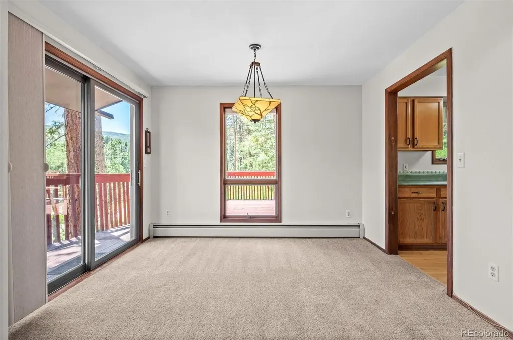 33057 Little Cub Road Evergreen CO 80439