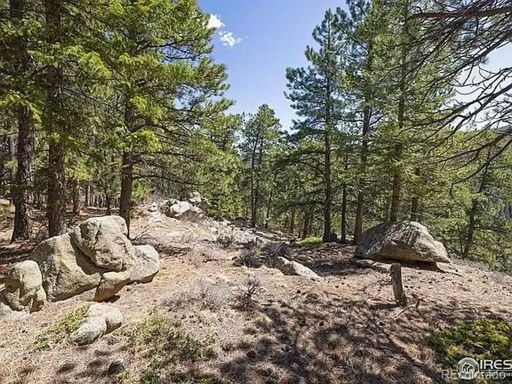 213 Rocky Knob Lane Nederland CO 80466