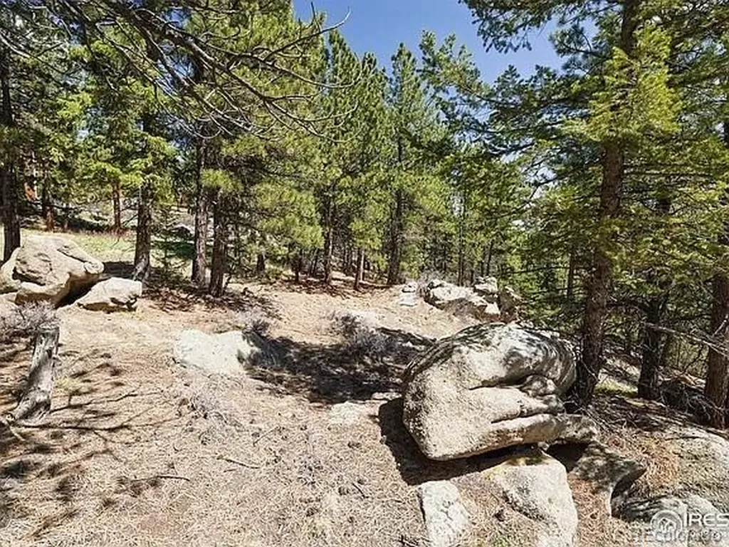 213 Rocky Knob Lane Nederland CO 80466