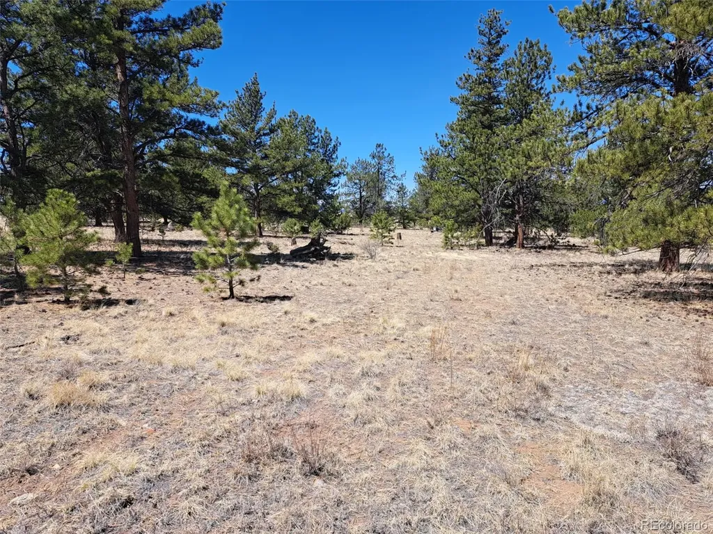 235 Maricopa Trail Hartsel CO 80449
