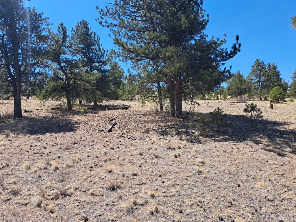 235 Maricopa Trail Hartsel CO 80449