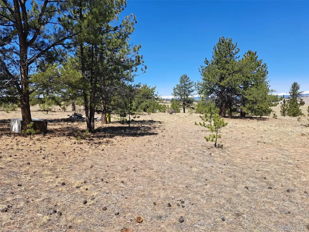 235 Maricopa Trail Hartsel CO 80449