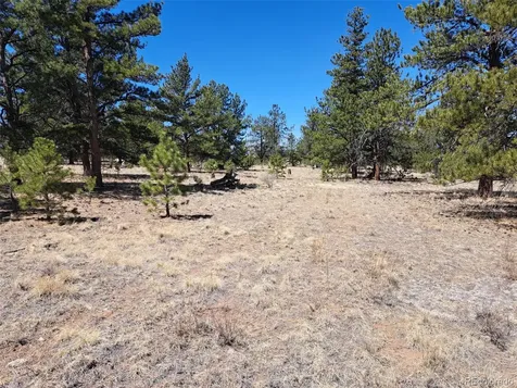 235 Maricopa Trail Hartsel CO 80449