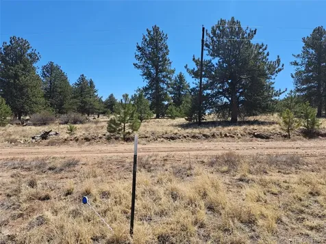 235 Maricopa Trail Hartsel CO 80449