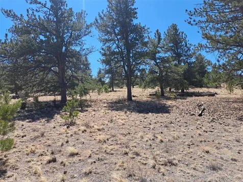 235 Maricopa Trail Hartsel CO 80449