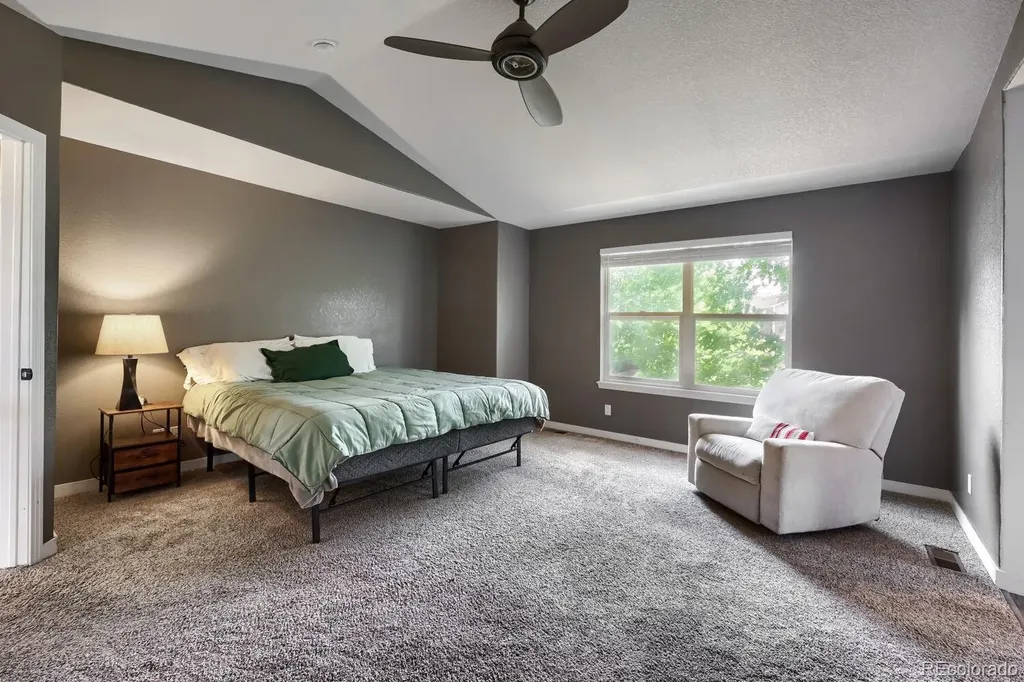 4672 Charing Court Castle Rock CO 80109