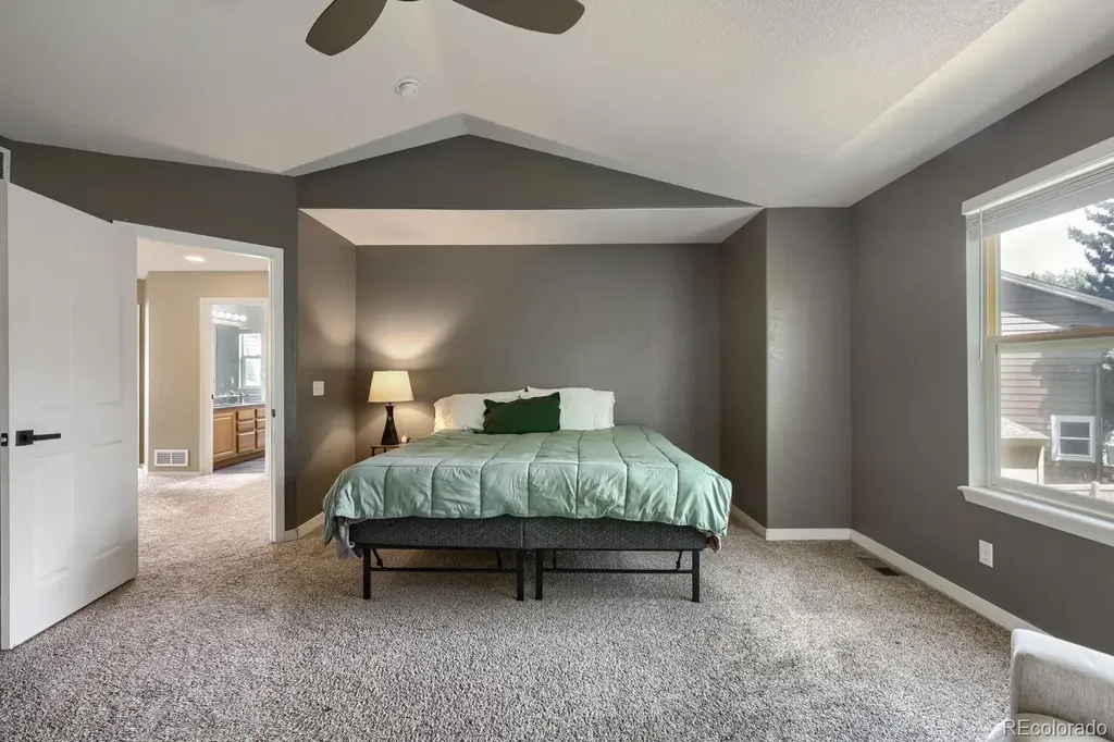 4672 Charing Court Castle Rock CO 80109