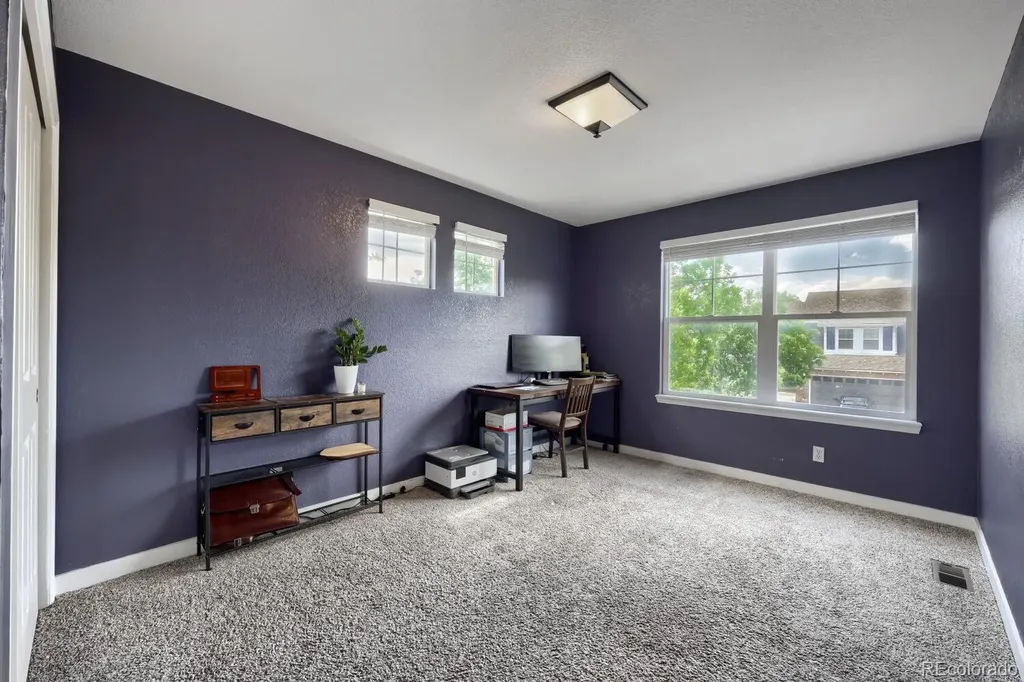 4672 Charing Court Castle Rock CO 80109