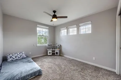 4672 Charing Court Castle Rock CO 80109