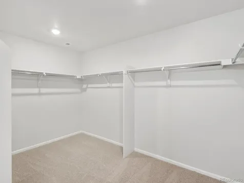 1206 Spring Creek Drive Windsor CO 80550