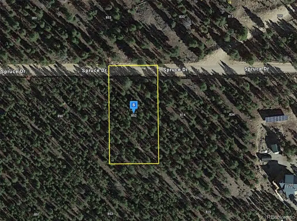 852 Spruce Drive Twin Lakes CO 81251