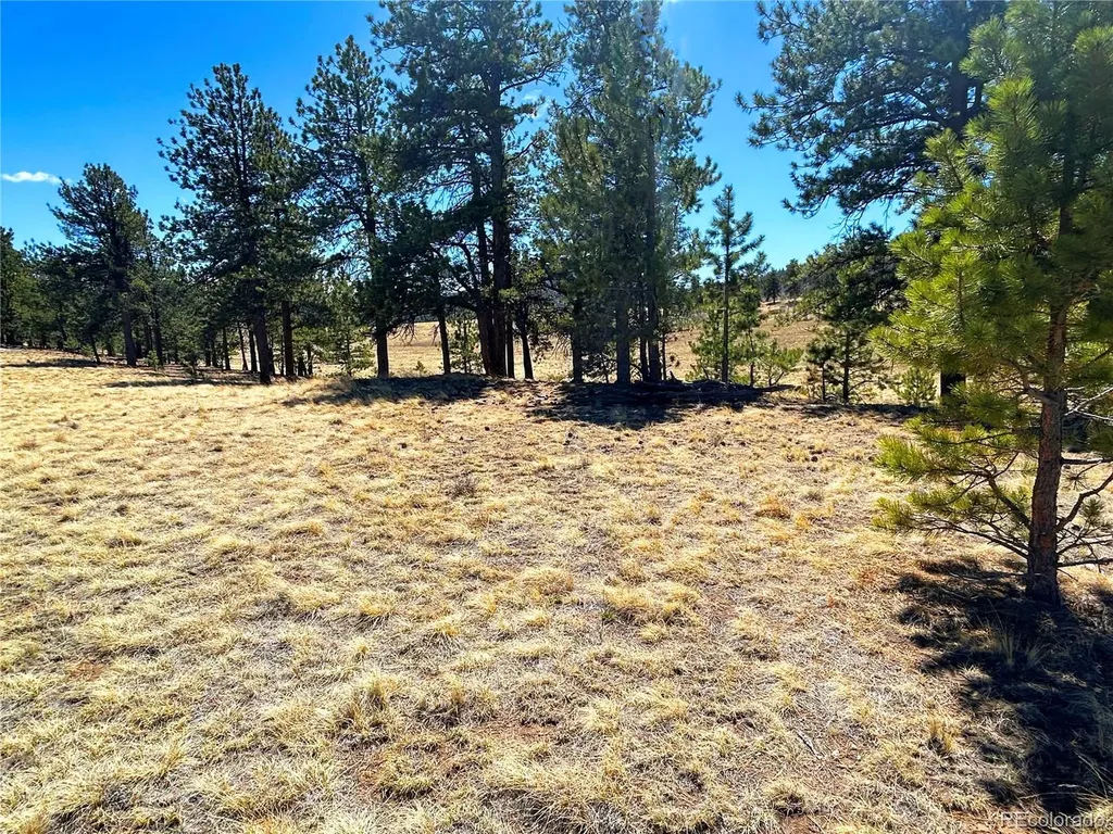 Singletree Road Buena Vista CO 81211
