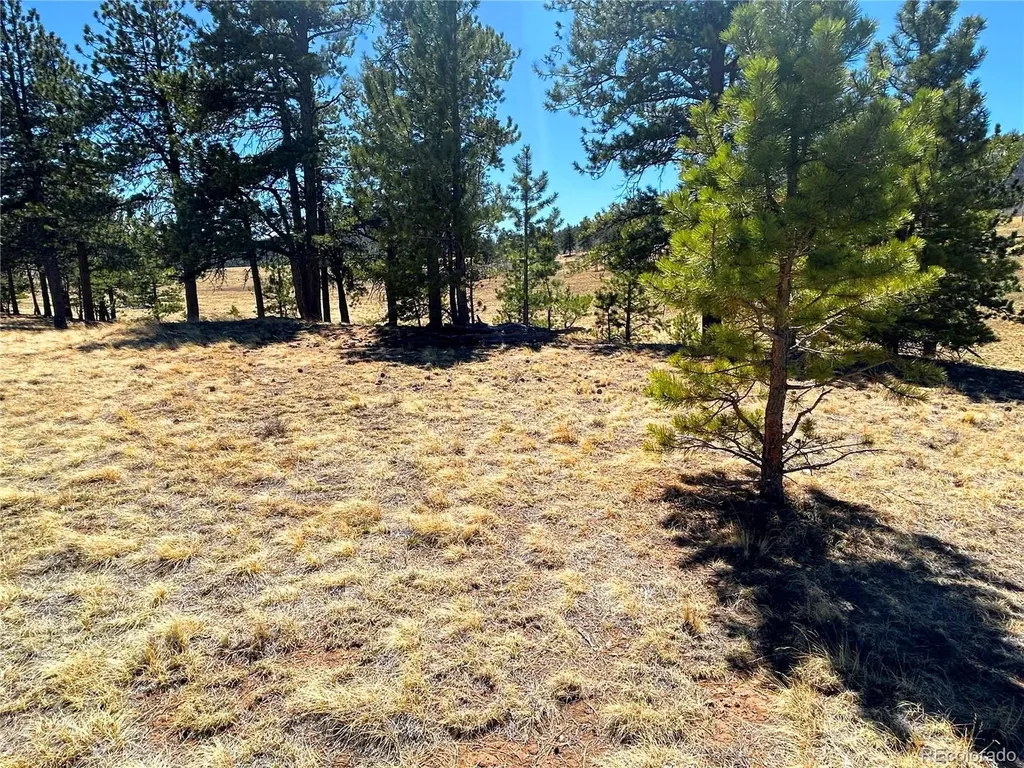 Singletree Road Buena Vista CO 81211