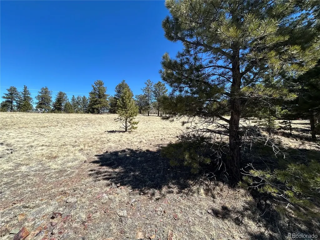 Singletree Road Buena Vista CO 81211