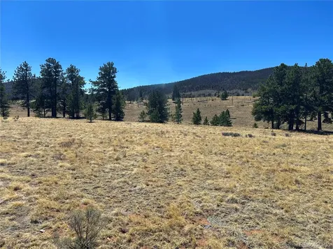 Singletree Road Buena Vista CO 81211