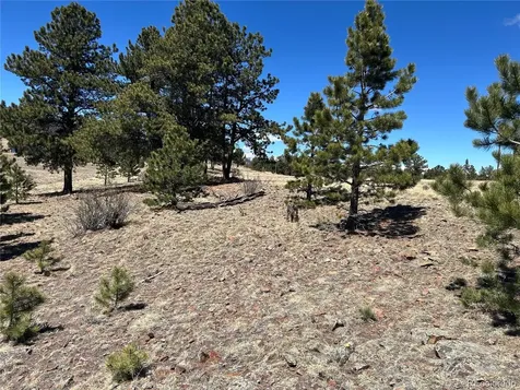 Singletree Road Buena Vista CO 81211