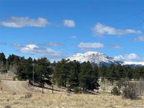 Singletree Road Buena Vista CO 81211