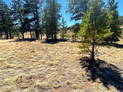 Singletree Road Buena Vista CO 81211
