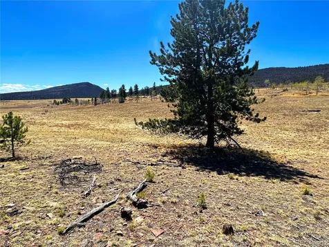 Singletree Road Buena Vista CO 81211